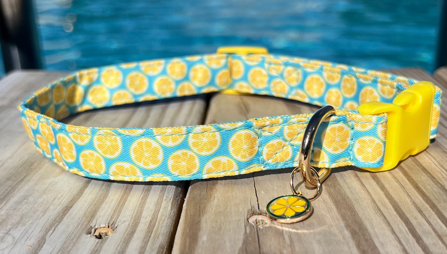 Summer dog collar