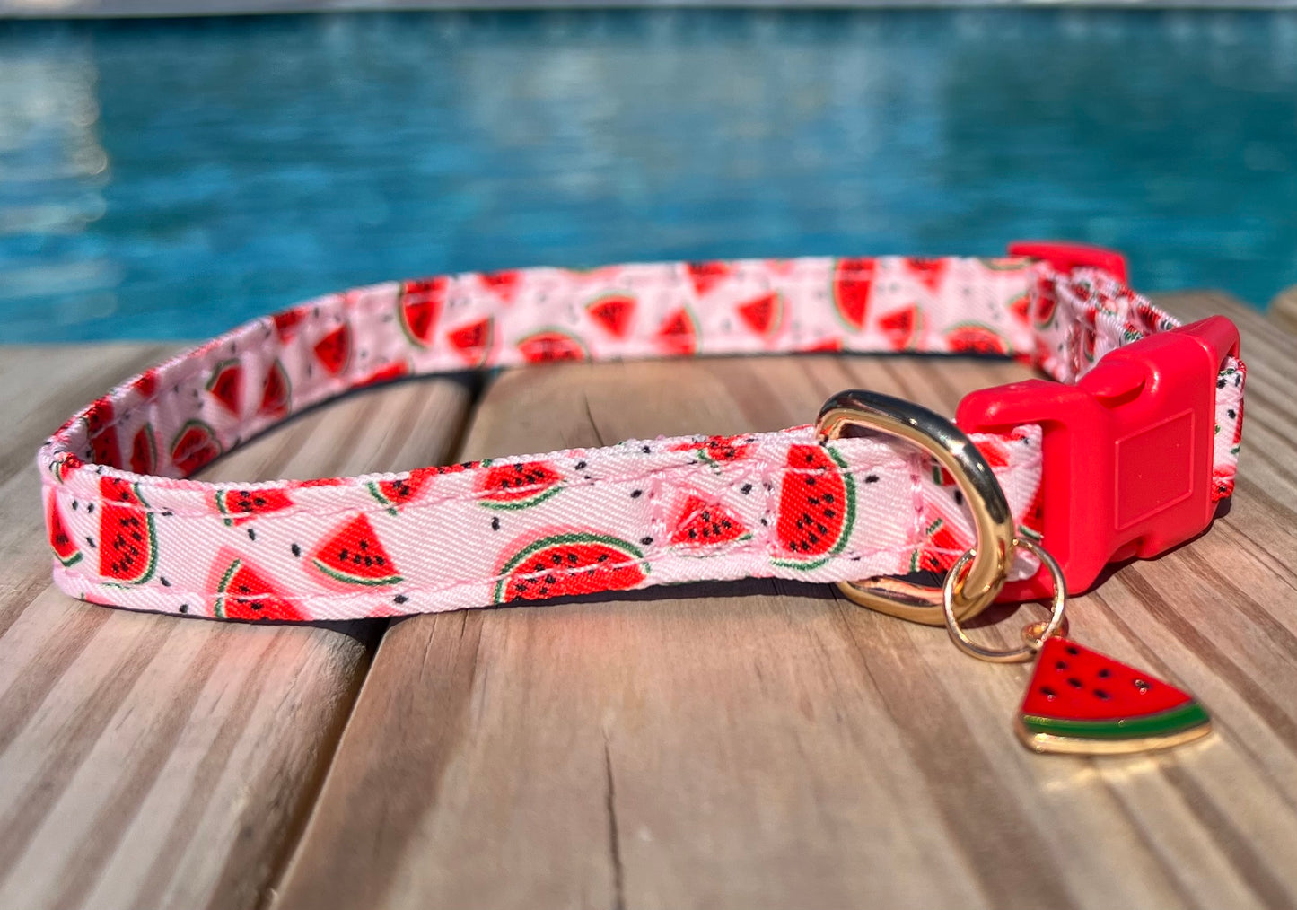 Summer dog collar