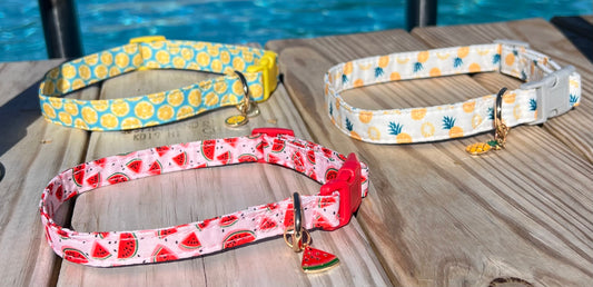 Summer dog collar