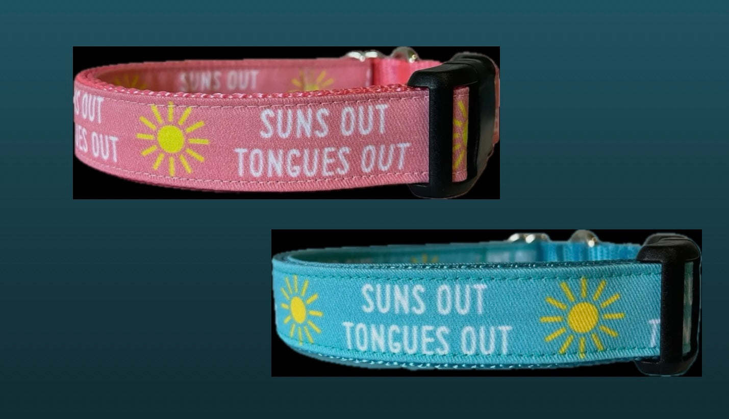 Suns out Collar