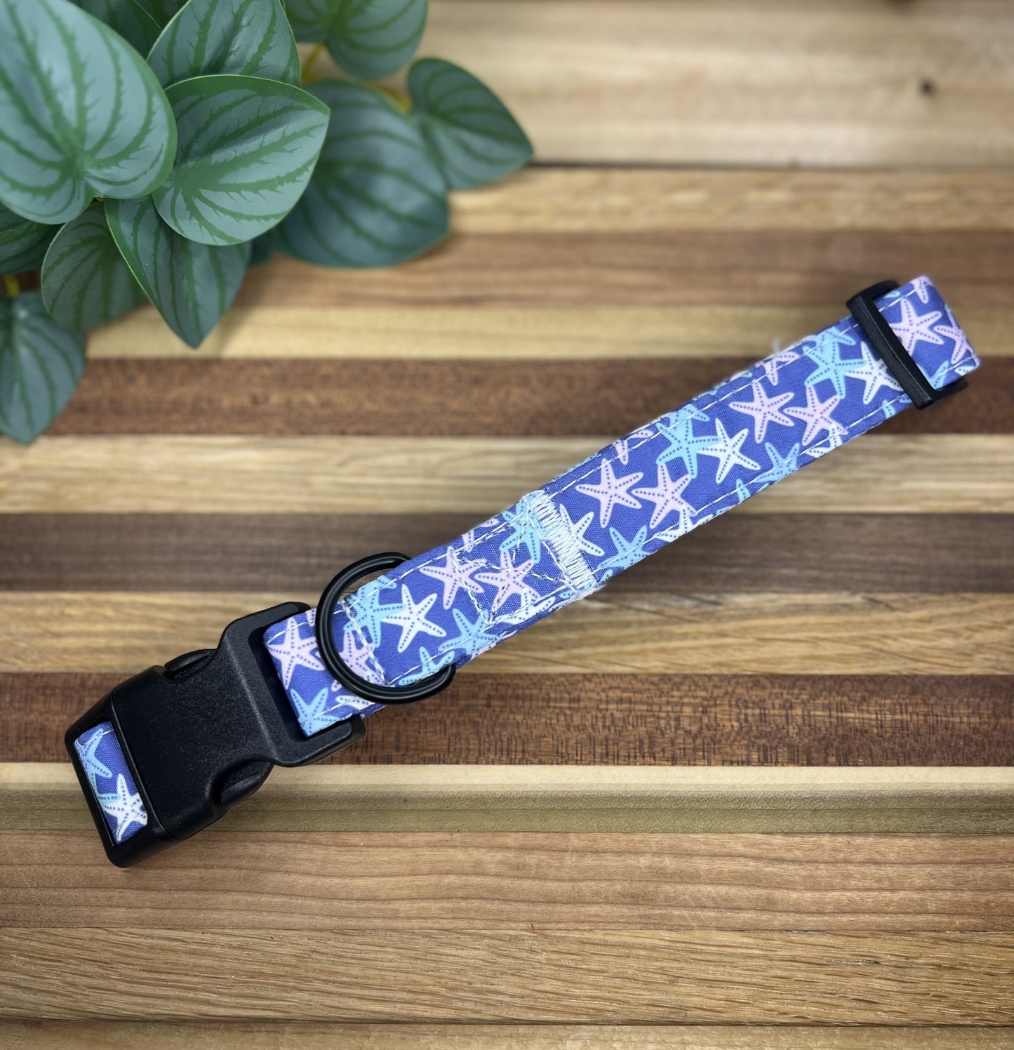 Beach Dog Collars