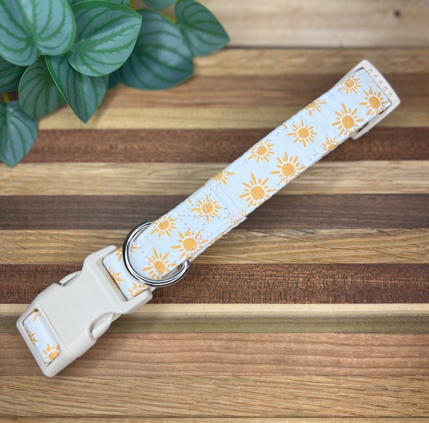 Beach Dog Collars