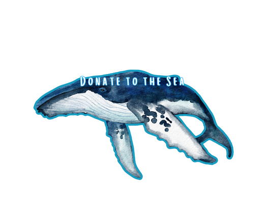 Donate to the Sea